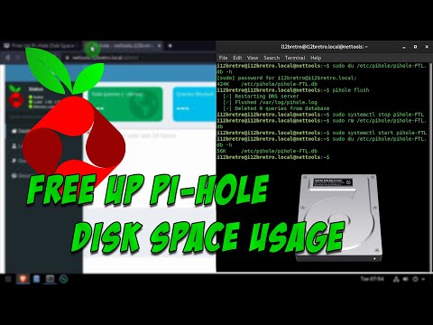 Free Up Pi-Hole Disk Space Usage