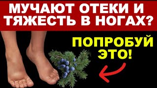 5 трав для здоровья почек и очищения организма