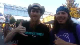 Family Trees meets TokinDaily (tokinGLX)