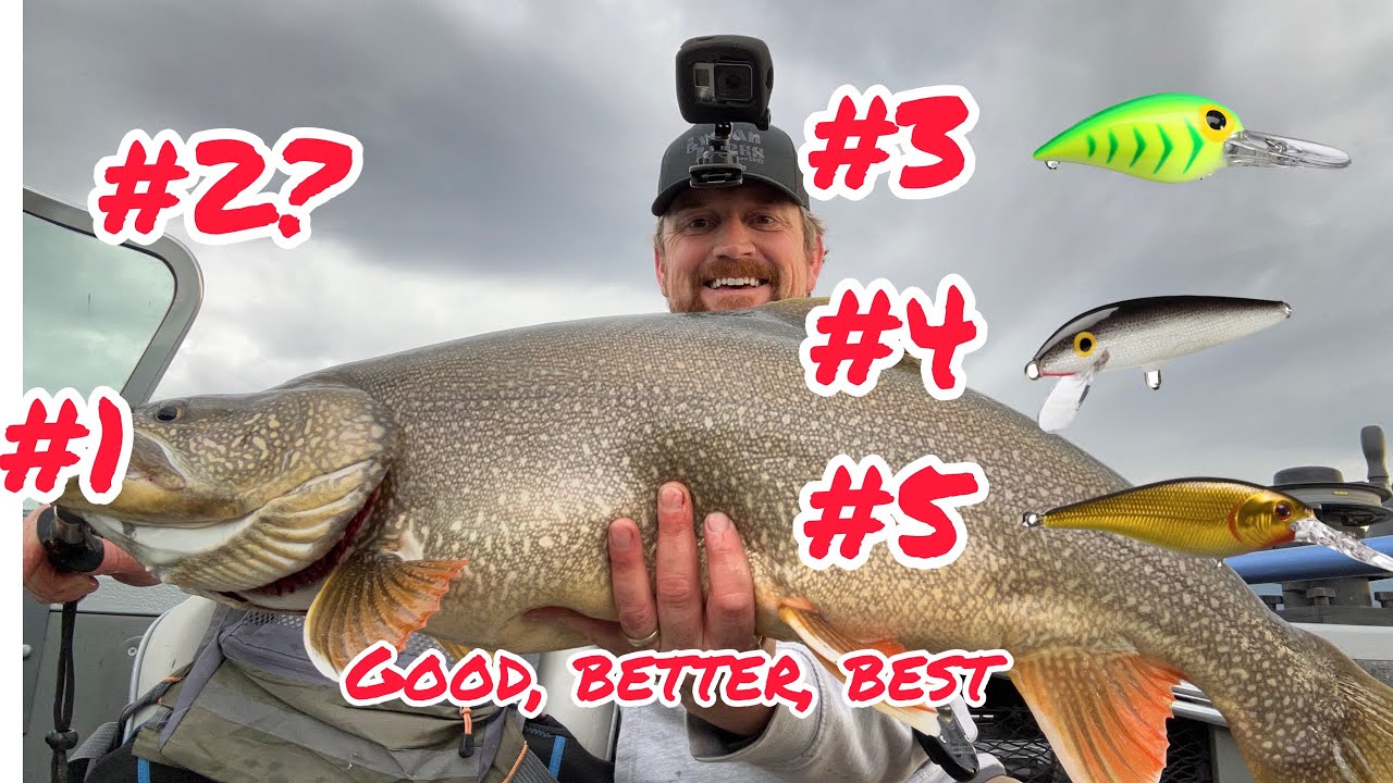 My best lures for BIG trout. Top 5 lures and why. YouTube