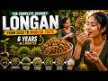 Longan Farming Documentary | 6 Years in 2 Minutes | From Seed to Harvest