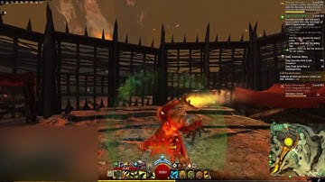 Guild Wars 2 Character Animation Glitch