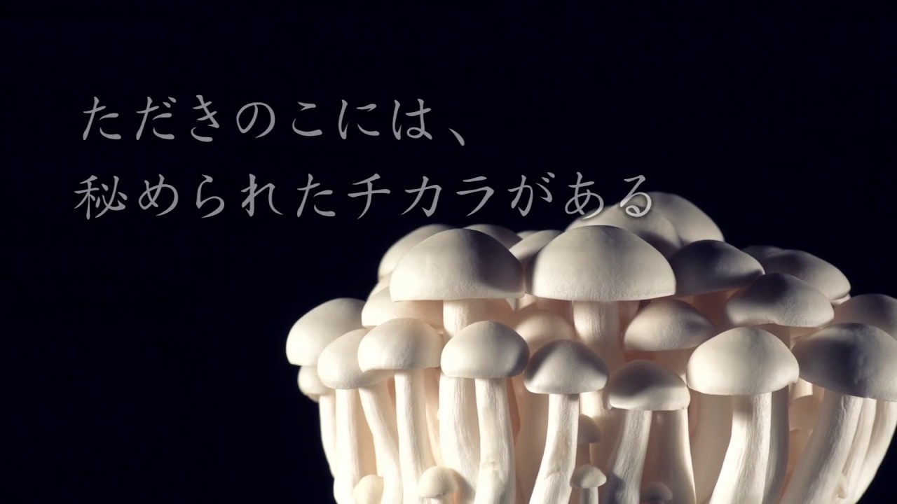 ホクト のcm きのこの可能性 篇 きのこは 薬ではない ただきのこには 秘められたチカラがある Cm など最新の動画をまとめるサイト 動画now