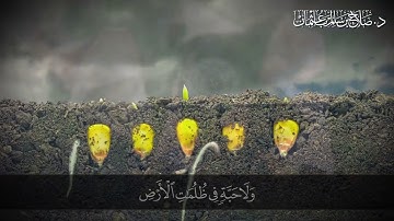 وَعِندَهُ مَفَاتِحُ الْغَيْبِ لَا يَعْلَمُهَا إِلَّا هُوَ ۚ | سورة الأنعام  | آية 59