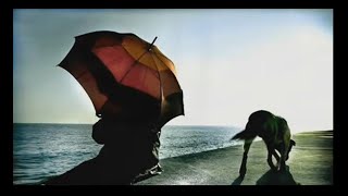 Papercut ft. Jennie Kapadai • Black Dog (lyrics)