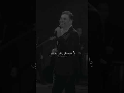 يابعيد عن عيني ياعيني يا عيني بعيد في القلب أنا بسلم مدام عز السلام بالإيد عمرو دياب عمرودياب