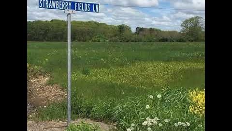 آية ((كُل نفسٍ ذائقة الموت)) بصوت القارئ عبدالرحمن مسعد