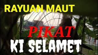 SUARA PERKUTUT PIKAT MERAYU TARGET