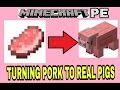 TURN PORK TO REAL PIGS TRICK - MINECRAFT PE Redstone Contraption
