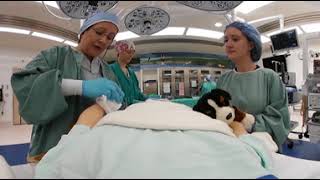 Hospital In Patient Experience screenshot 2