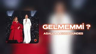 Ah Yar Çağırsan Gelmem Mi - Ebru Gündeş & Assala ( Ferid Zirve Remix ) 