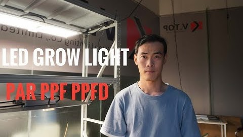 What is PAR PPF PPFD PPE| terminology  of LED grow light|?