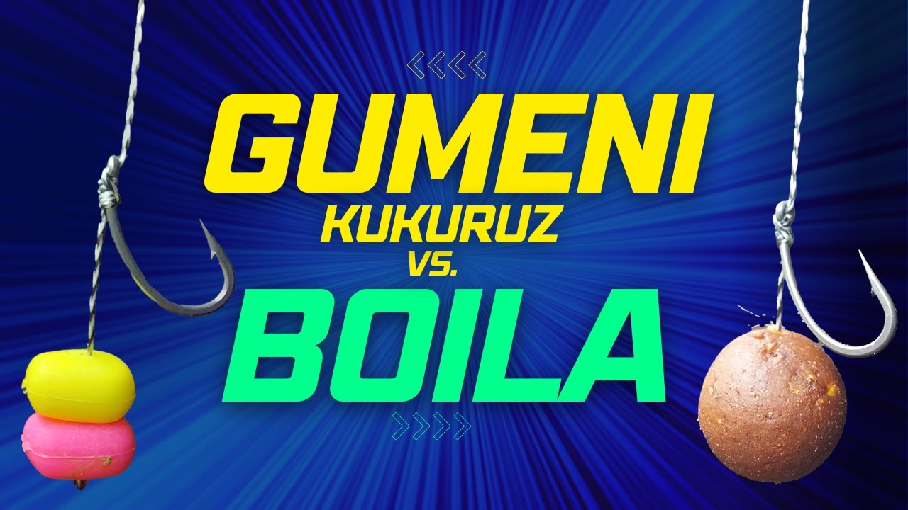 GUMENI KUKURUZ vs. BOILA???