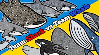 Shark or Whale? |  Let's Draw \& Color Sea Animals and Learn Fun Animal Facts about Sharks and Whales