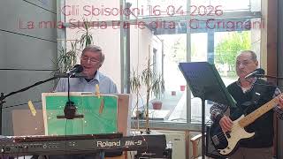 Gli Sbisoloni 16-04-2026  - La mia storia tra le dita  G. Grignani @falcesoft-trumpet