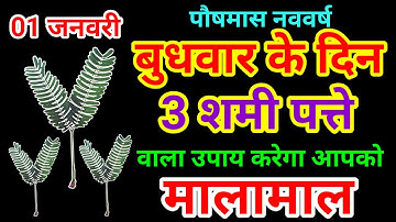 1 जनवरी पौष मास नया साल बुधवार द्वितीया तिथि को 3 शमी पत्ते वाला उपाय.... Pradeep Ji Mishra
