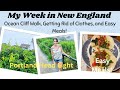 Portland, Maine Cliff Walk! | Easy Meals | Weekly Vlog | New England Life image