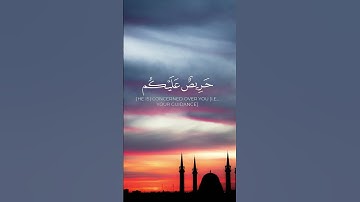 قرآن كريم .. تلاوة خاشعة تهز القلب