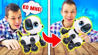 Обзор на Робота Собаку и другие Игрушки Роботы. Роботы для детей YCOO. Играем в игры с Федей Капуки
