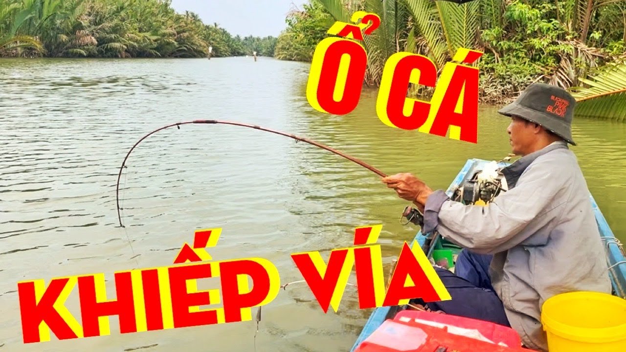 Kỷ Lục Ổ Cá Ngầm Ở Giữa Sông - Giật Hoài Không Hết - Rất Khó Phát Hiện - Quăng Mồi Ôm Cần Chạy Ngay