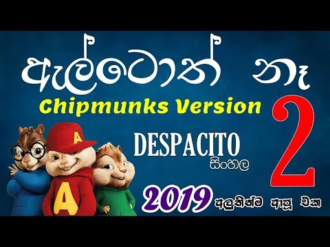 සිංදු-කාමරේ-|-altoth-na---despacito-chipmunks-version