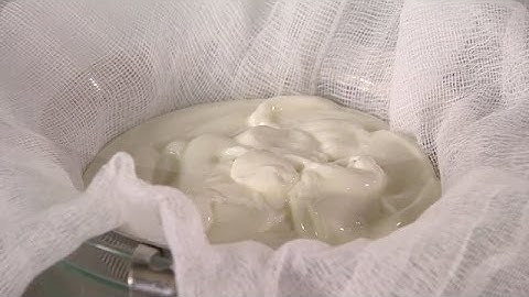 Healthy Homemade Cream Cheese - Mad Hungry with Lucinda Scala Quinn