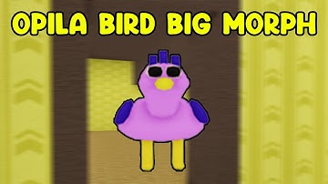 UPDATE - How To Find OPILA BIRD BIG MORPH in Find The Backrooms Morphs
