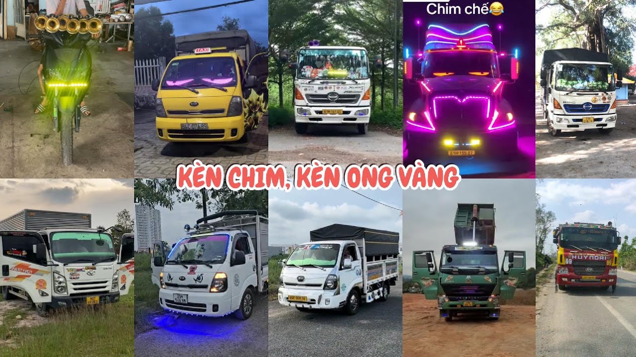 Tổng Hợp Kèn Chim, Ong Vàng, Basuri V8, Kèn Thái Độ Tạch Tè