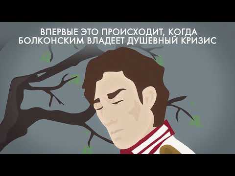 Почему Болконский смотрит на дуб?