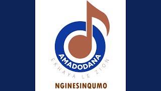 Nginesinqumo