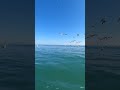You've NEVER Felt the Ocean Like This 🌊 360° VR #sealovers #oceanescapes