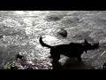 End of video