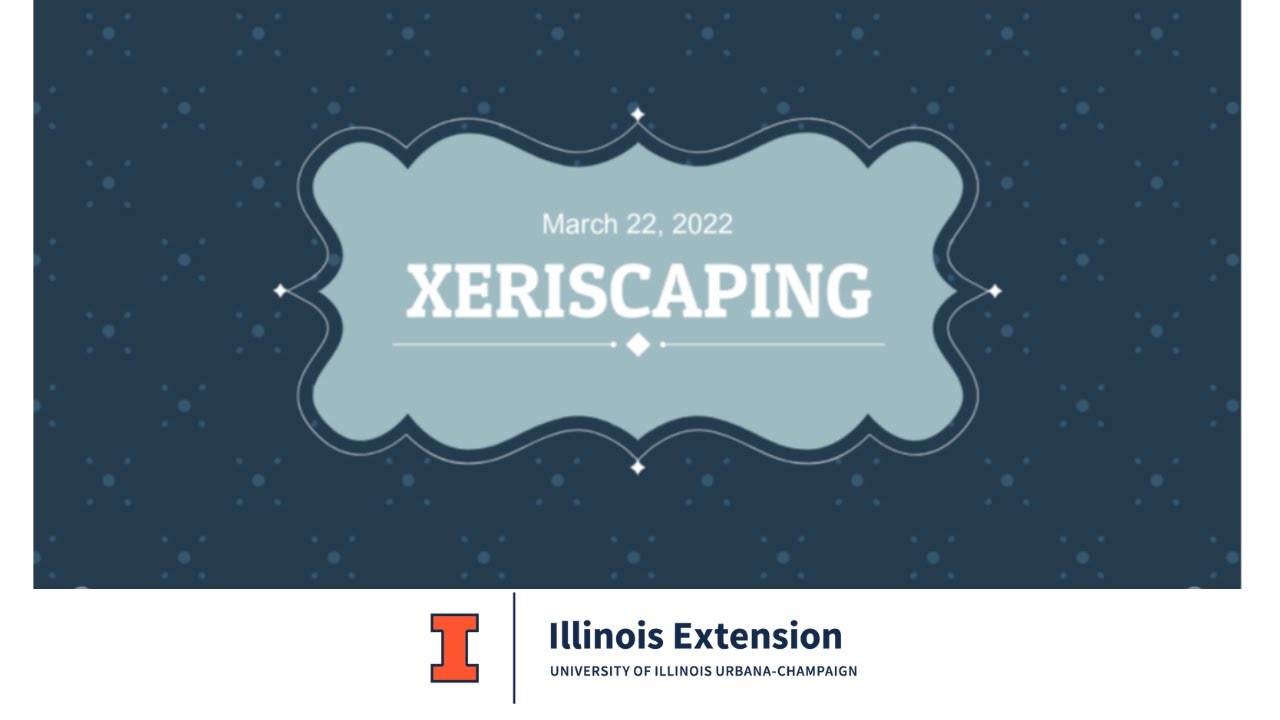 Xeriscaping