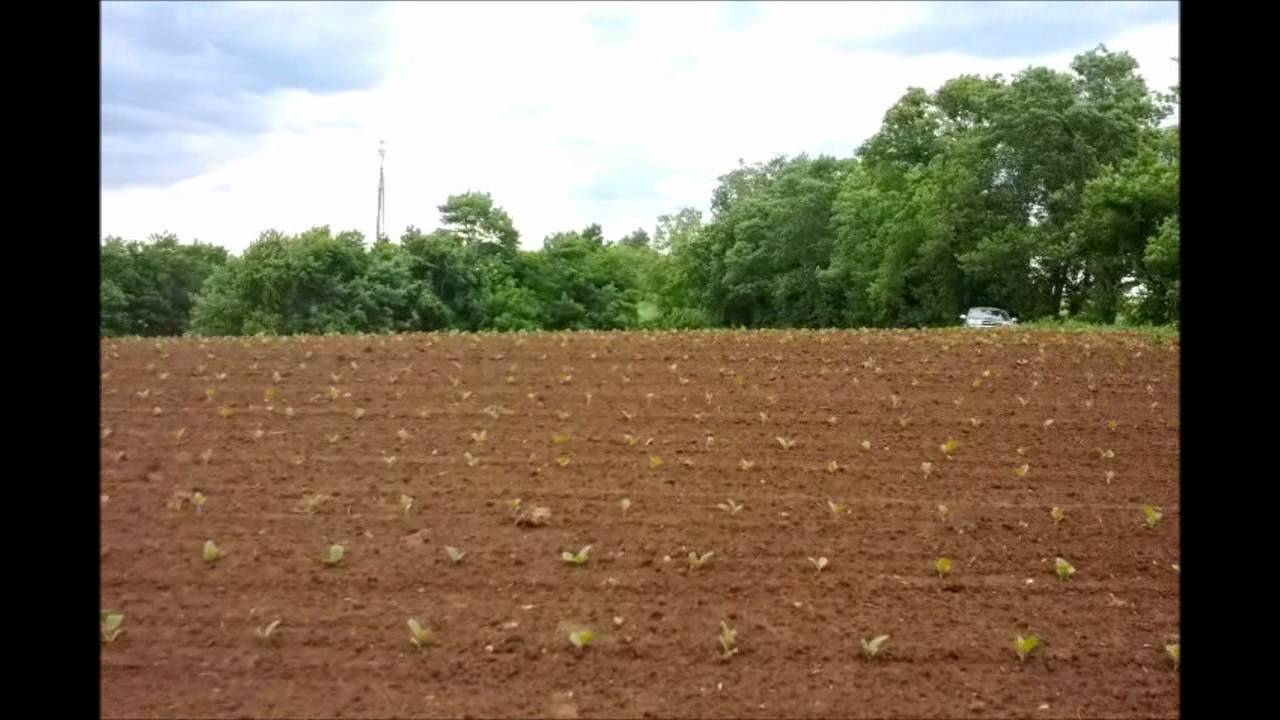 Shane KY hunt 6-2-2012