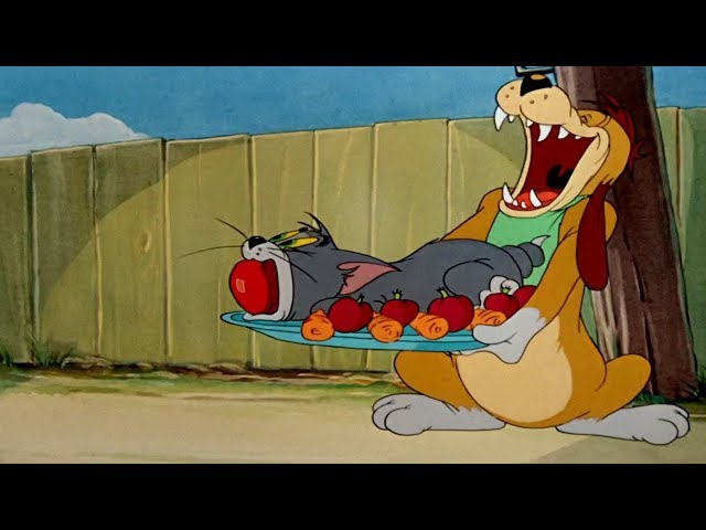 Tom & Jerry Friendship