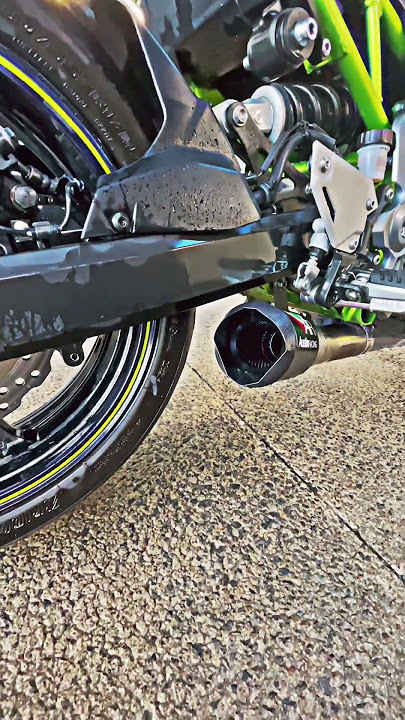 Z900 austin racing exhaust sound gp1r de-cat #exhaust #fyp #z900 #sound #satisfying #austinracing