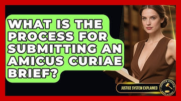 What Is the Process for Submitting an Amicus Curiae Brief? - Justice System Explained