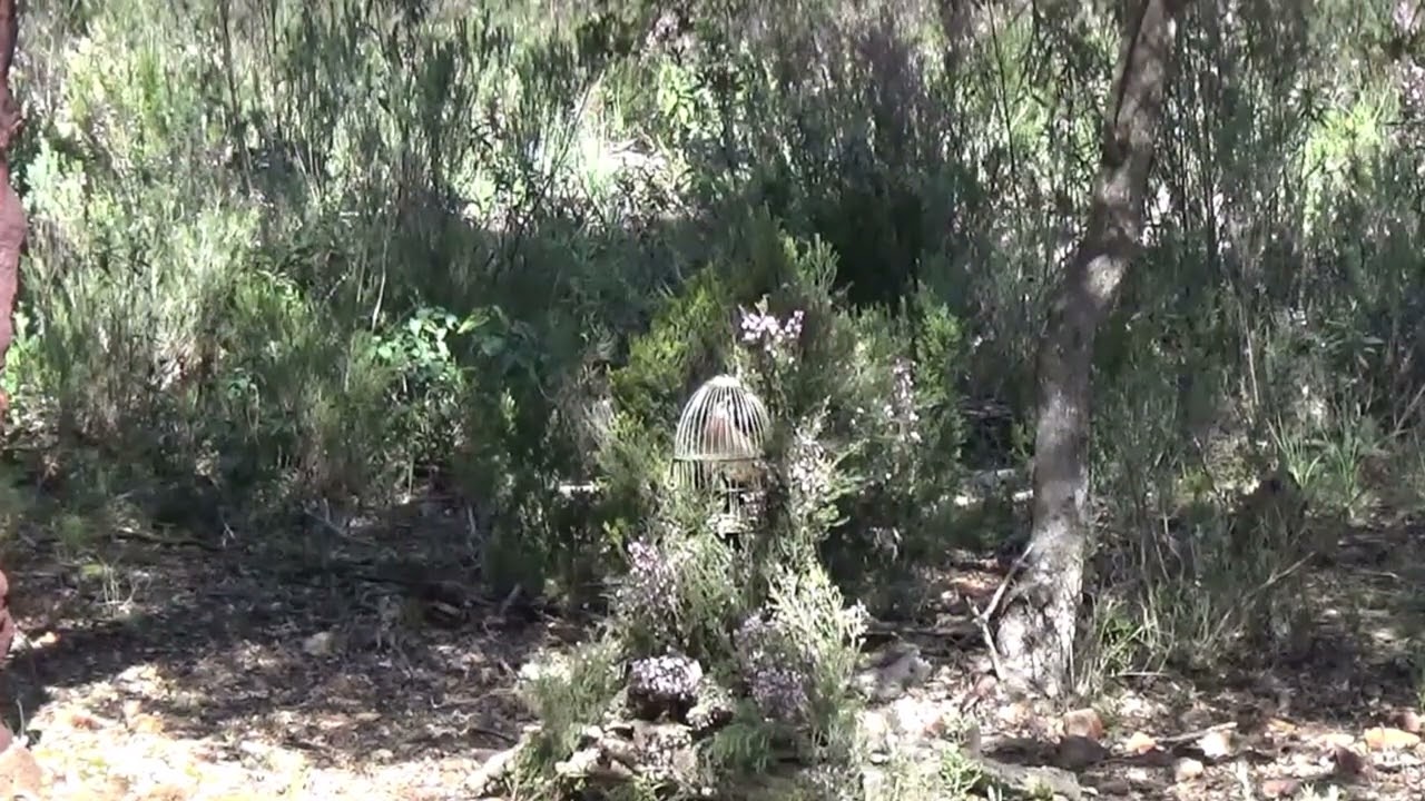 LUISMI PRIMER PUESTO 2024