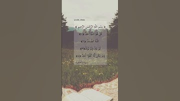 قل هو الله أحد⁦❤️⁩#سورة_الإخلاص #العفاسي #مشاري_العفاسي #تلاوات #تلاوة #تلاوة_خاشعة #with_rihma