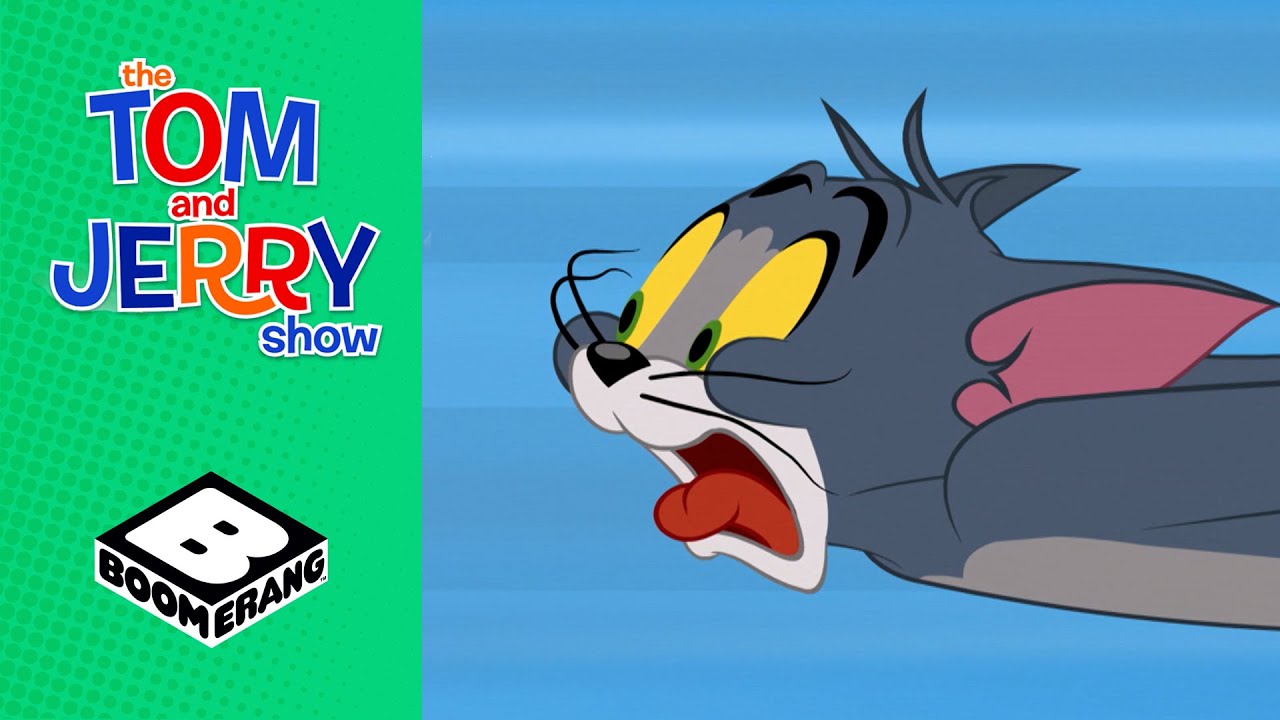 Tom & Jerry Field Trip Boomerang UK YouTube