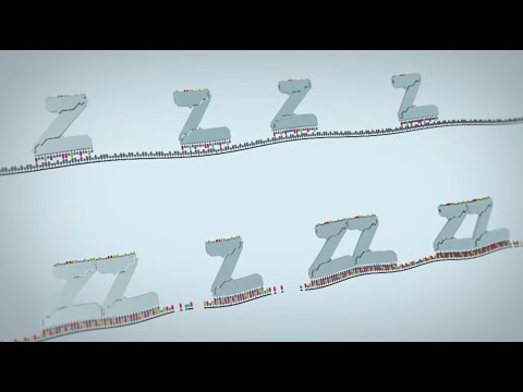 ACD RNAscope in situ Hybridization (ISH) Technology Overview