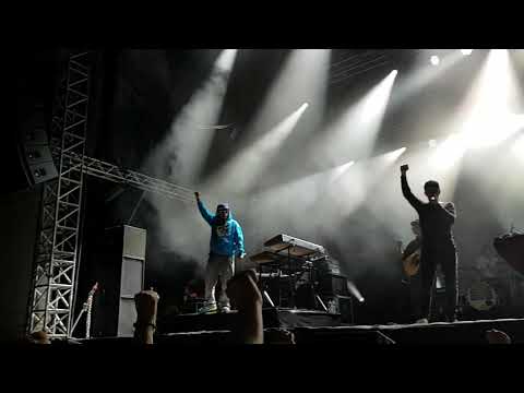 Söhne Mannheims -