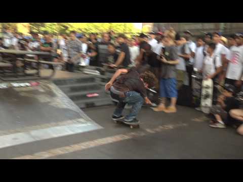 Go Skateboarding Day 2010 in NYC: Hometown Heroes