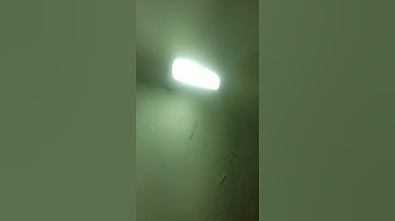 Syska LED T bulb
