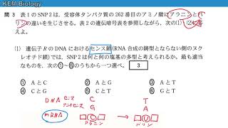 希少 高3 生物発展講座 2024年度 YouTube