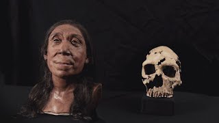 Scientists reveal the face Neanderthal woman 75,000 years after she died: "High stakes 3D jigsaw puz screenshot 5