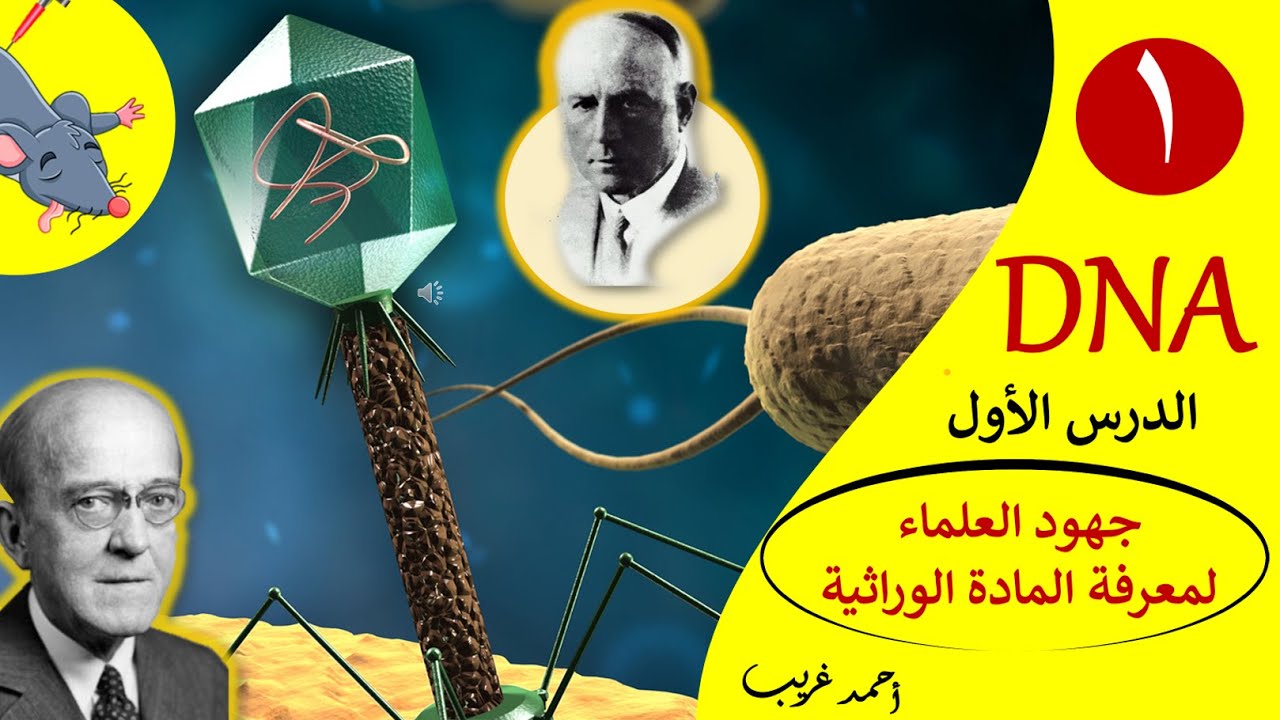 أحياء الصف الثالث الثانوي // DNA //  جهود العلماء لمعرفة المادة الوراثية 【أحمد غريب】