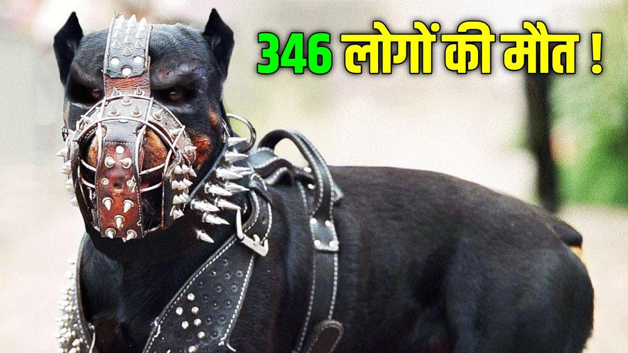 ये है दुनियां के 5 सबसे जानलेवा और
