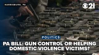 Critics say PFA violations bill passed by House is a 'gun control bill'