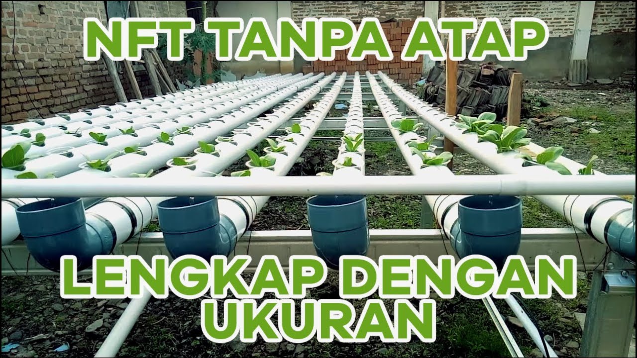 Cuma 2JT-an Beres Semua || Review Instalasi NFT Tanpa Atap